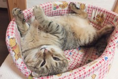 ま～たふざけて