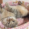 ま～たふざけて