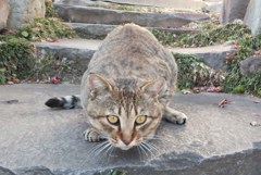 悪戯モード