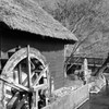 山吹の里