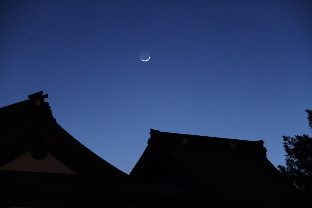 御逮夜