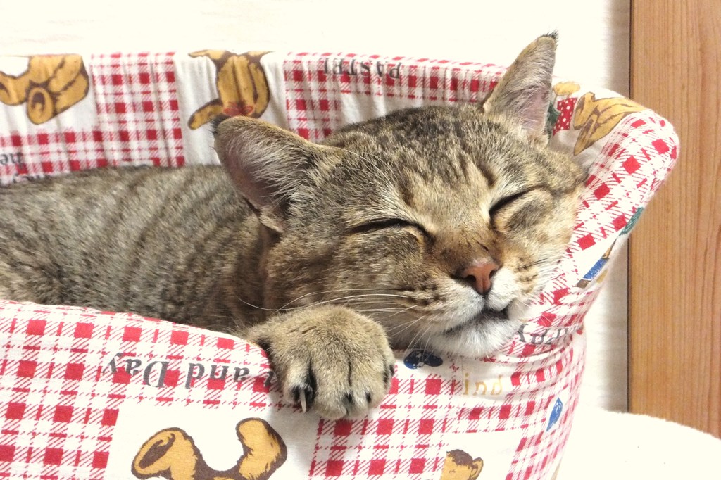 闘い疲れて
