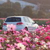 秋桜ドライブ
