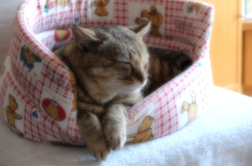 うたた寝