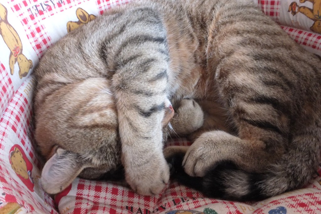 だから眩しいってば！
