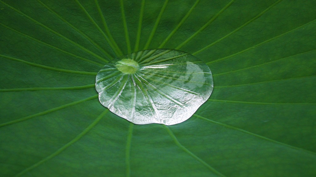 甘露宝雨