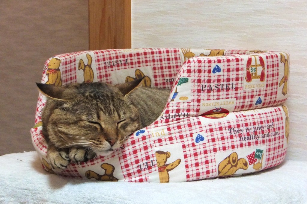 すやすや