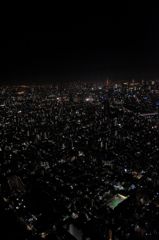 地上の星