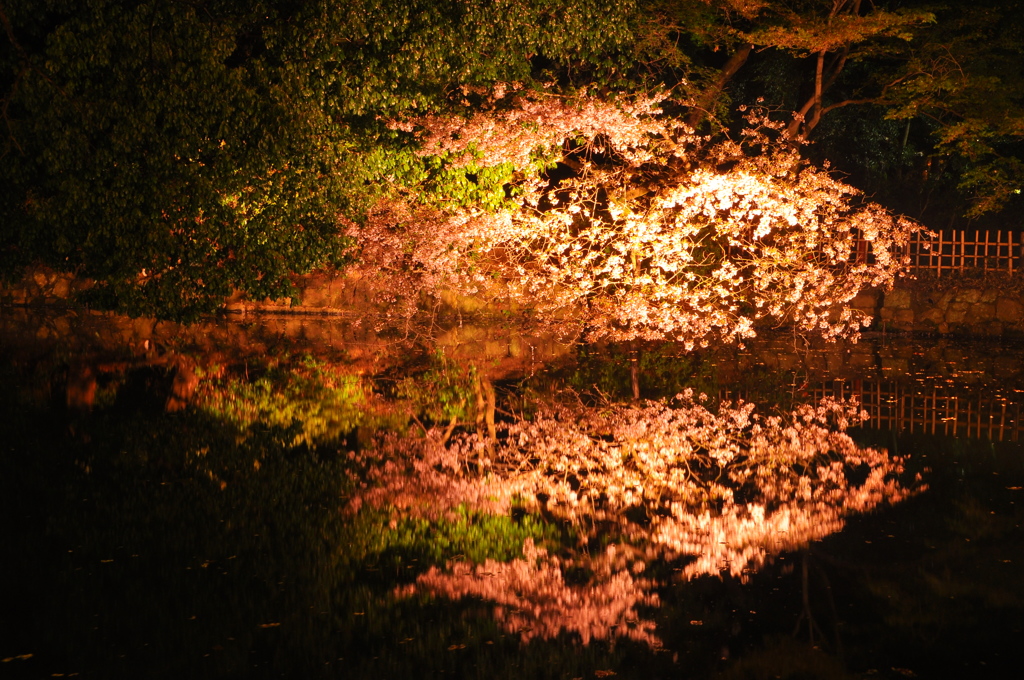 光りの庭園