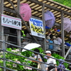 あじさい傘車