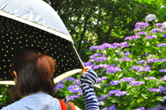 夏至