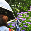 夏至