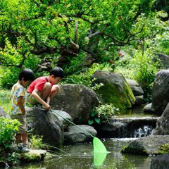 秘密基地（絶対内緒だよ！）