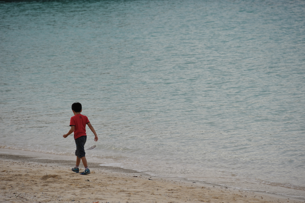 少年と海