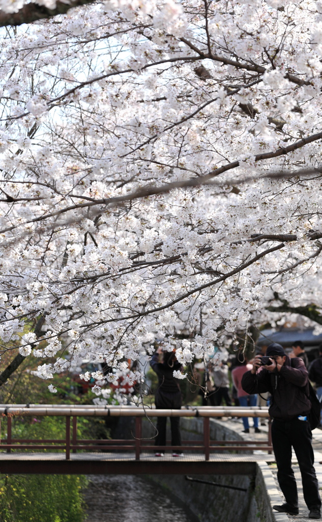 three years ago@ kyoto