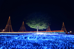 丘陵公園イルミネーション