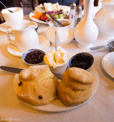 CreamTea