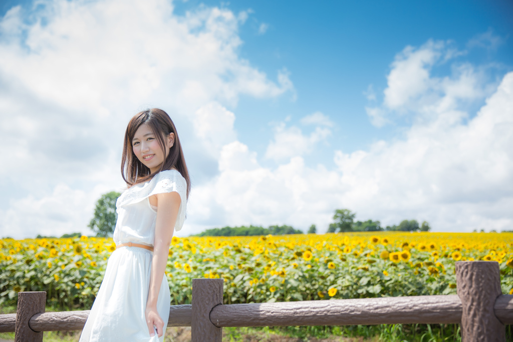 夏だ！ひまわりだ！