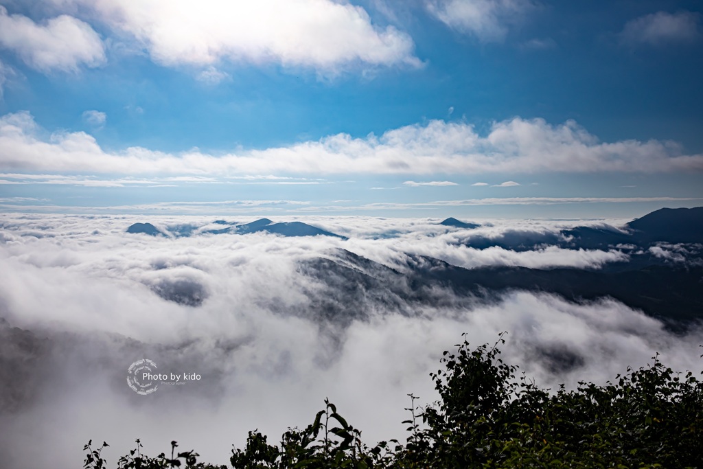 雲海