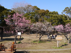 梅の里まつり