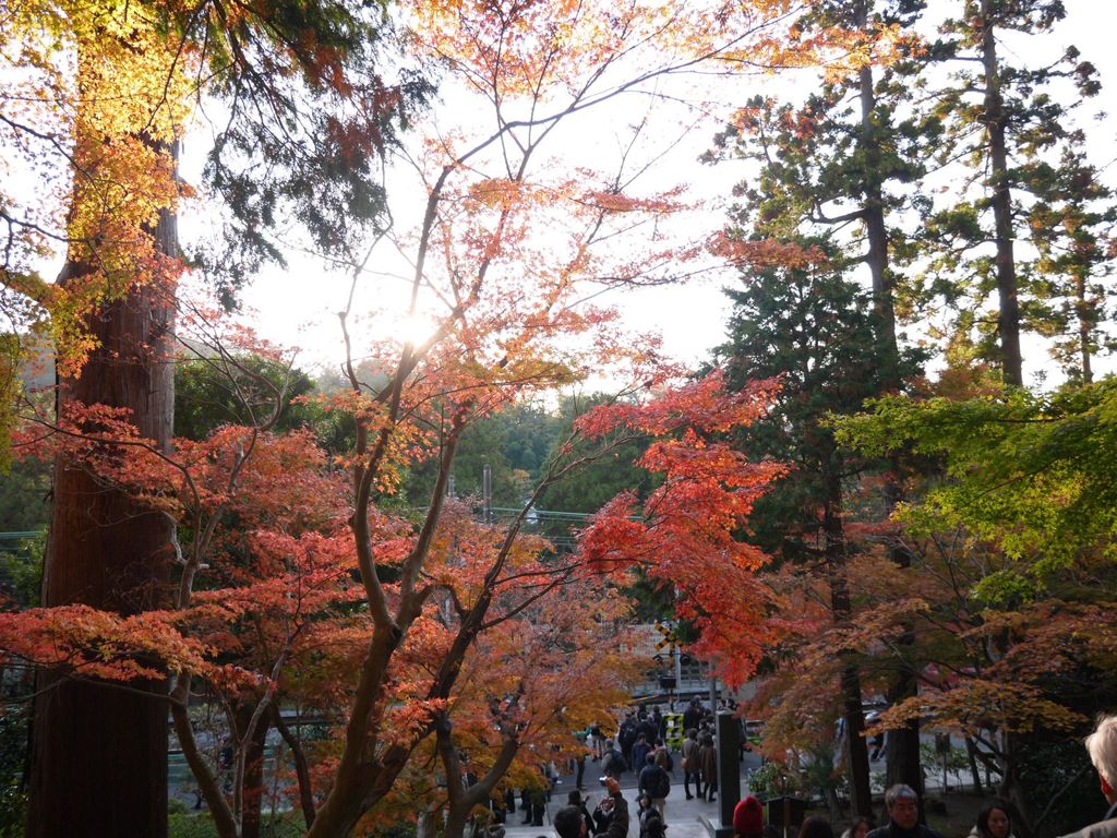 鎌倉 円覚寺