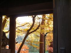 鎌倉 円覚寺