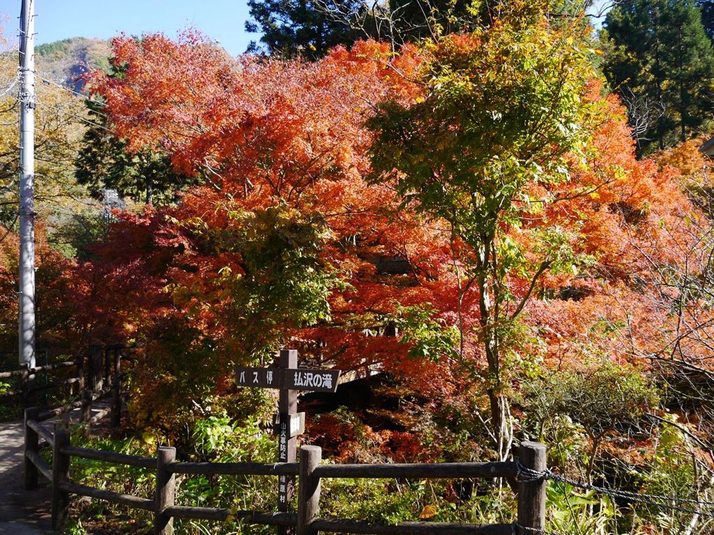 払沢の滝（日本の滝100選）