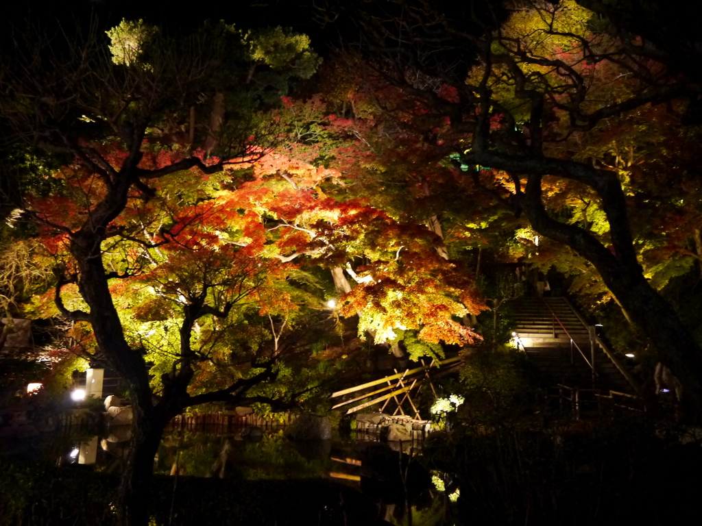 長谷寺の紅葉ライトアップ