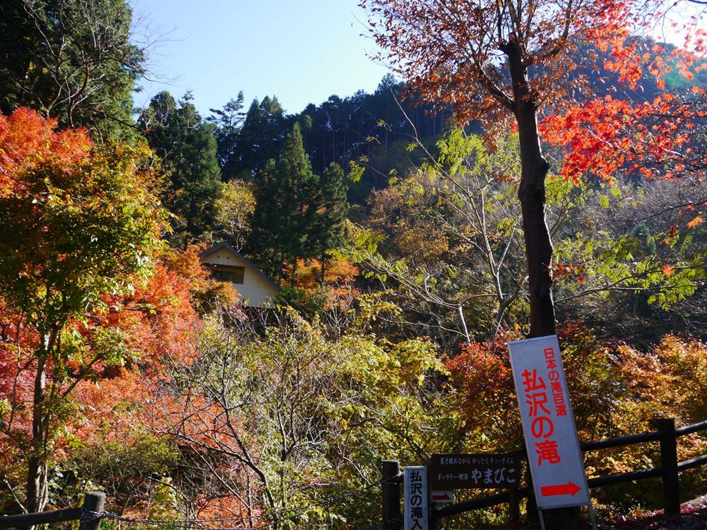 払沢の滝　付近