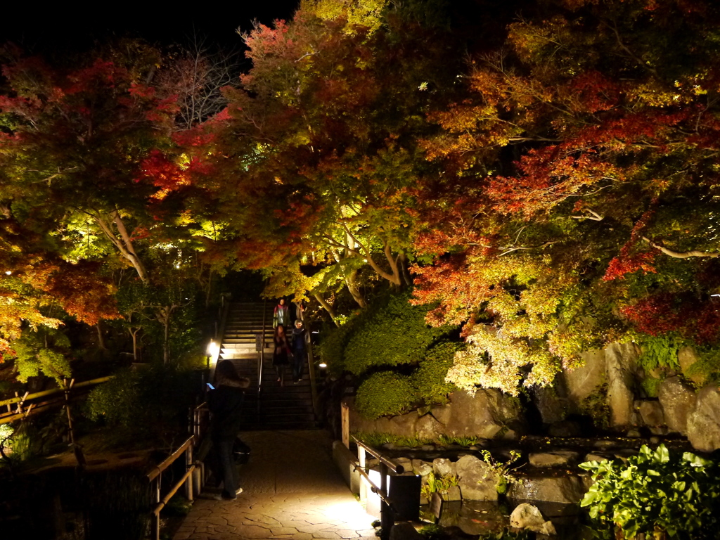 長谷寺の紅葉ライトアップ