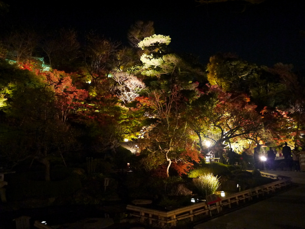 長谷寺の紅葉ライトアップ