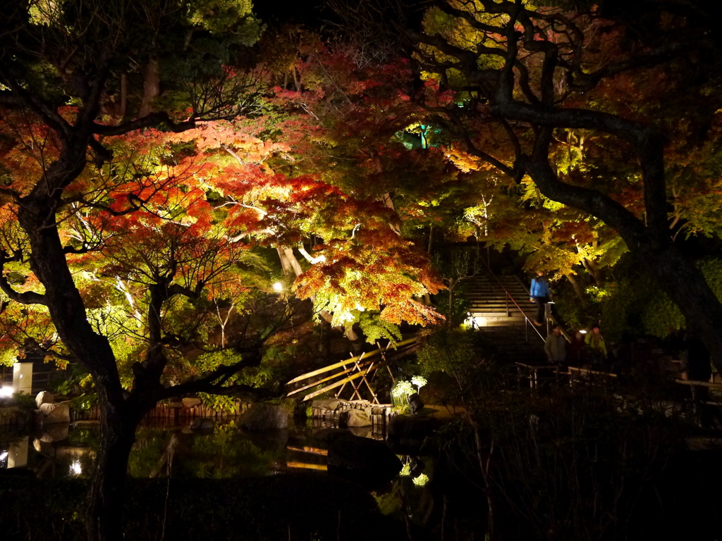 長谷寺の紅葉ライトアップ