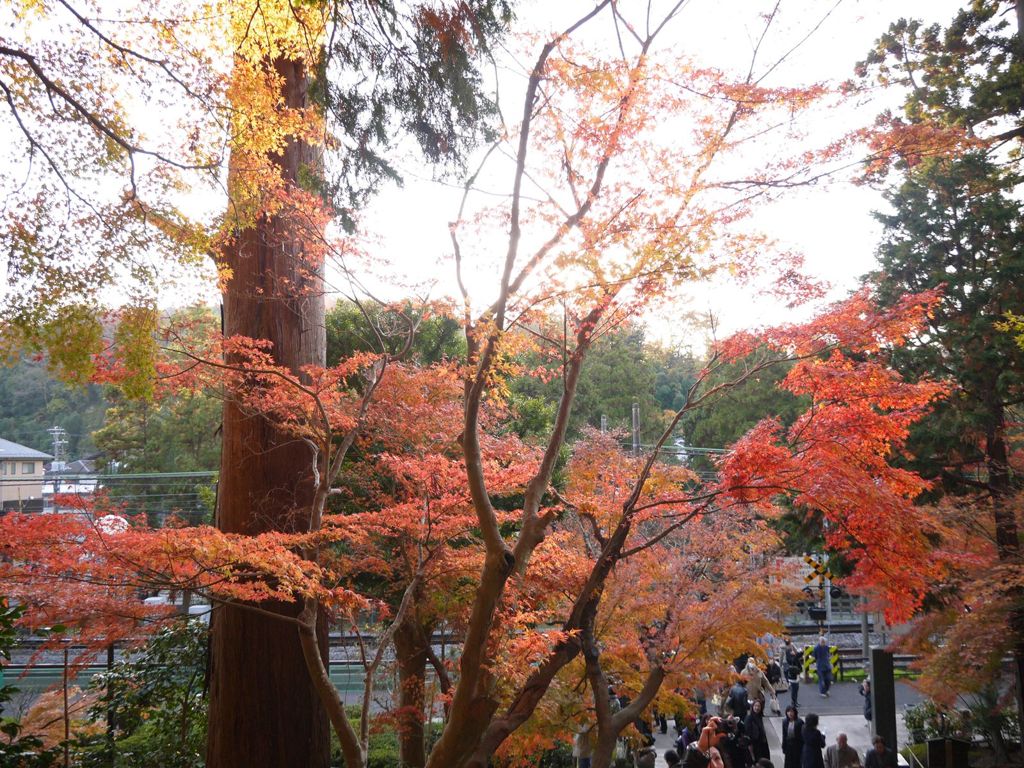 鎌倉 円覚寺