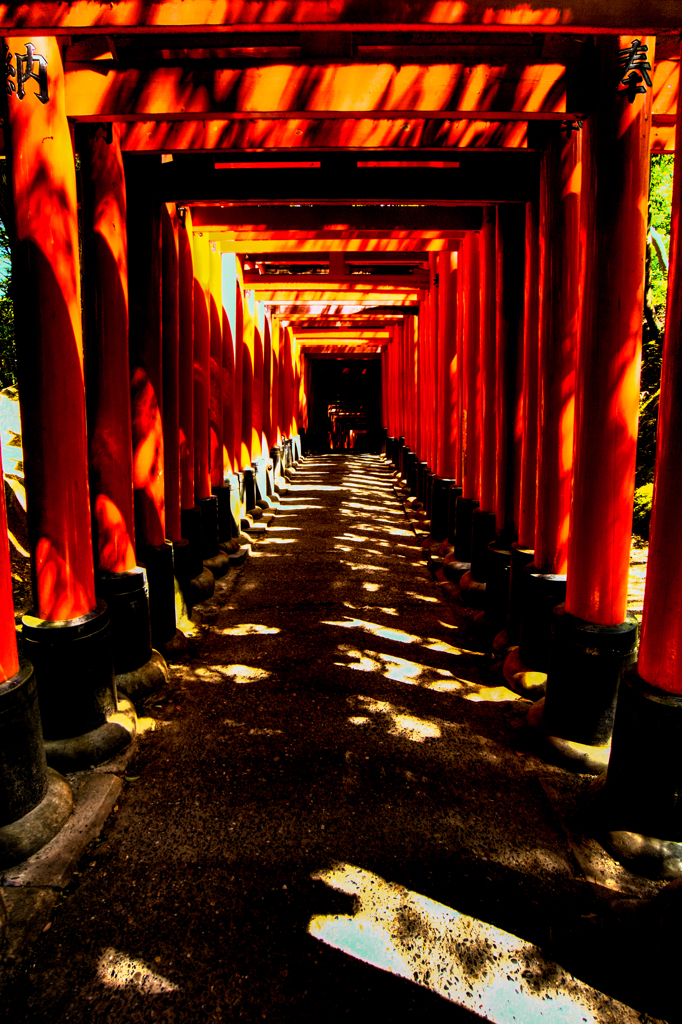 鳥居トンネル