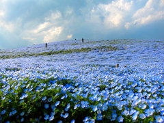 暗雲と蒼い海