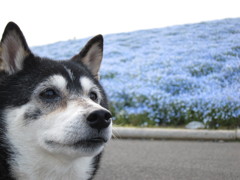 カメラ嫌いの抵抗
