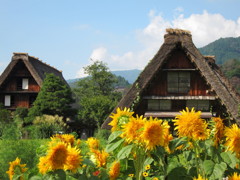 白川郷