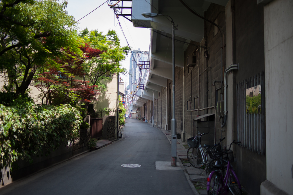 日常