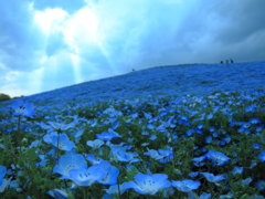 青と蒼
