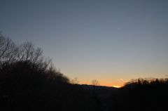 DSC_4479
