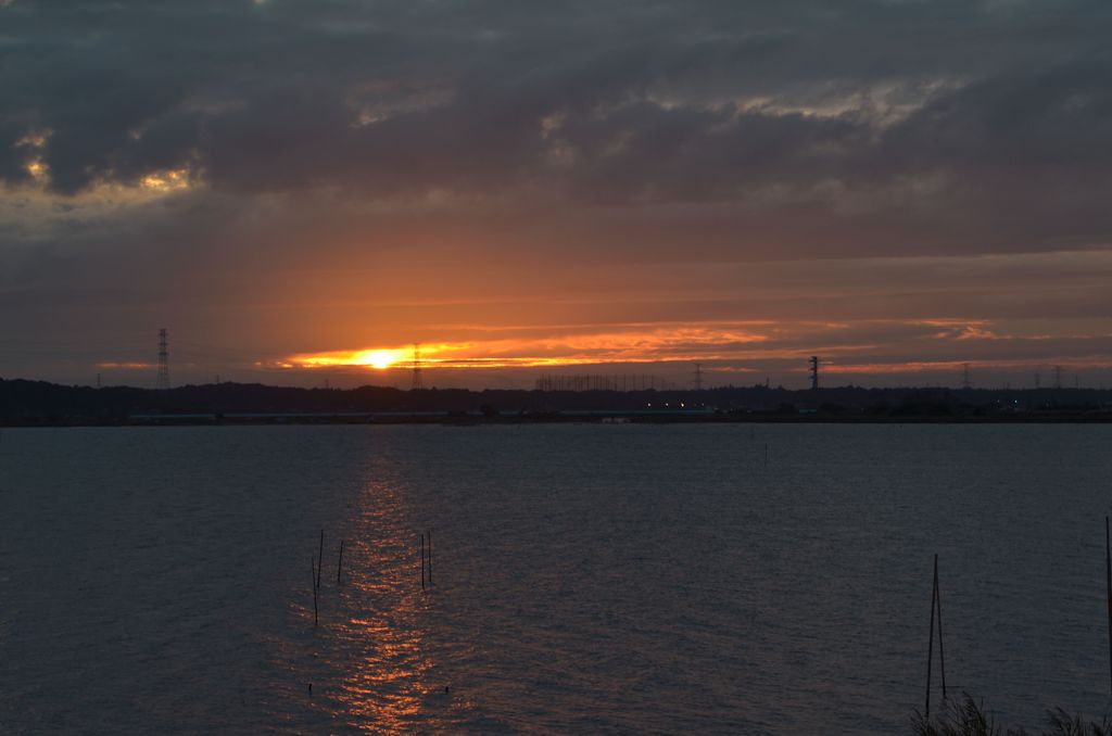 DSC_3911