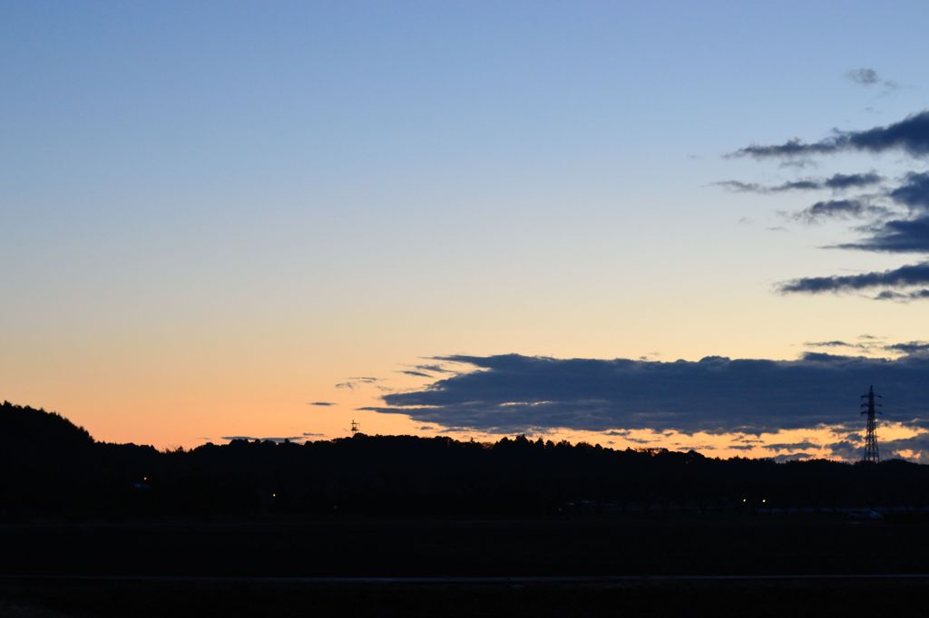 Morning Glow