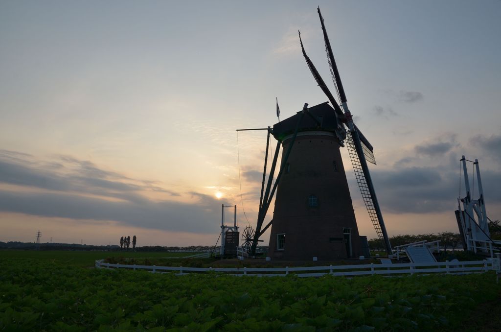 DSC_2819