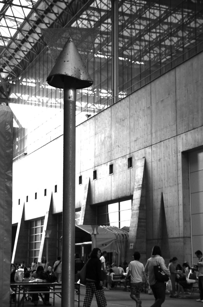 DSC_5463