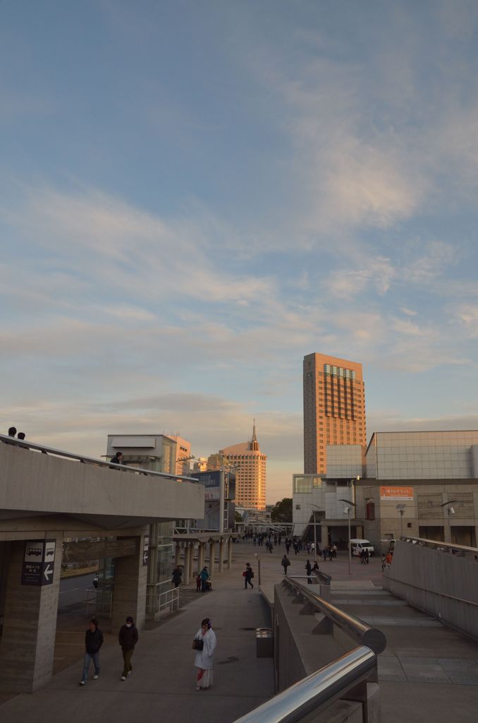 DSC_4624