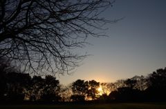 DSC_4093