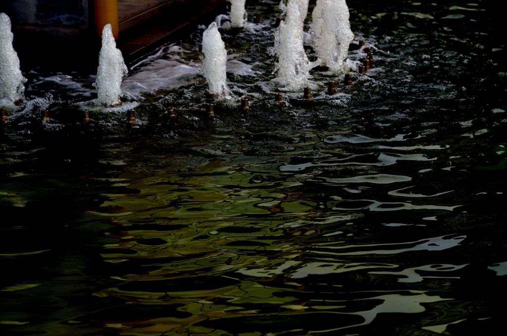 DSC_5590