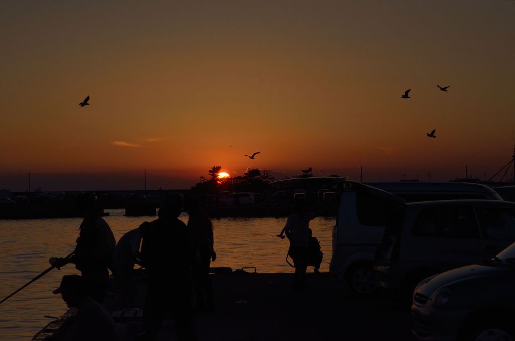 DSC_7638