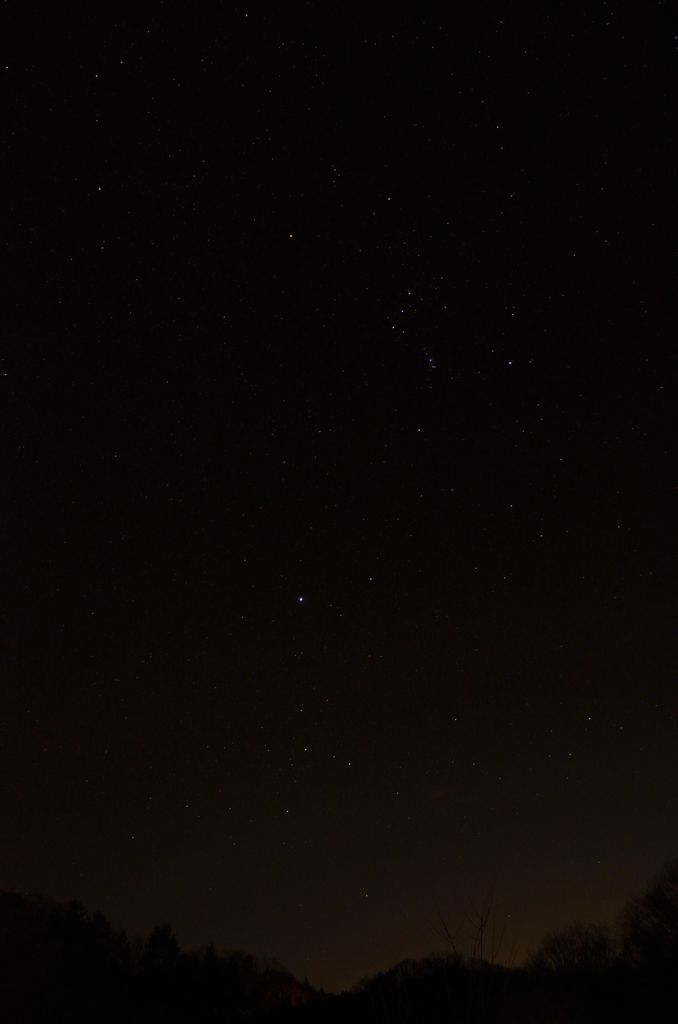 DSC_4519