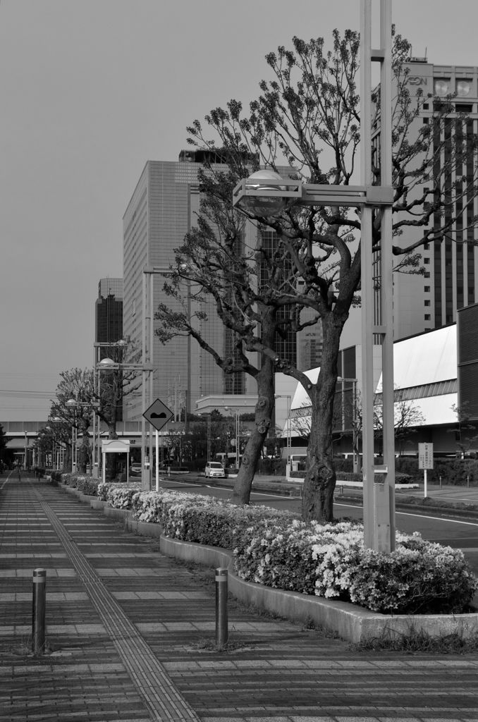 DSC_5465